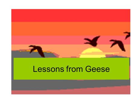 Lessons from Geese.