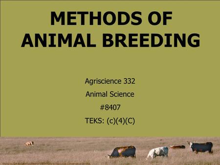 METHODS OF ANIMAL BREEDING