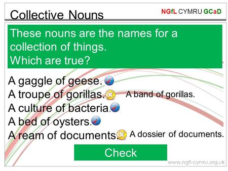 Collective Nouns These nouns are the names for a collection of things.