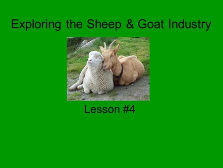 Exploring the Sheep & Goat Industry Lesson #4. Common Core/Next Generation Science Standards Addressed CCSS.ELA-Literacy.RH.9-10.4 - Determine the meaning.