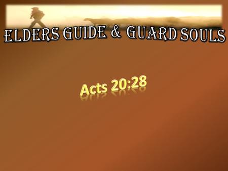 ELDERS GUIDE & GUARD SOULS