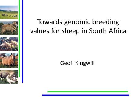 Towards genomic breeding values for sheep in South Africa Geoff Kingwill.