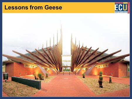 Lessons from Geese. Lessons from Geese I Fact 1 As each goose flaps its wings, it creates an “uplift” for the birds that follow. By flying in a “V”