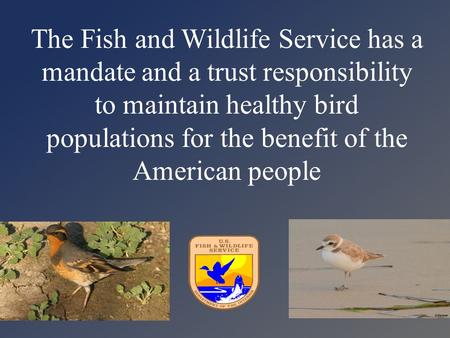 The Fish and Wildlife Service has a mandate and a trust responsibility to maintain healthy bird populations for the benefit of the American people.