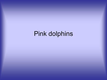 Pink dolphins. Why are dolphins are endangered? The sea of Hong Kong is becoming a very dangerous habitat for the Pink Dolphins these days. This is because.