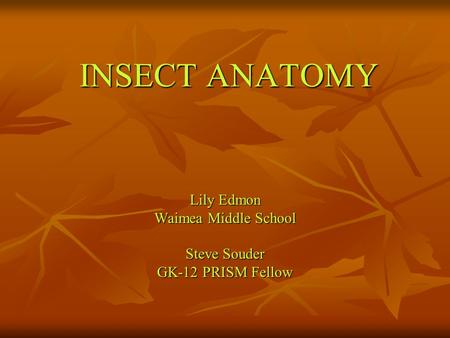 INSECT ANATOMY Lily Edmon Waimea Middle School Steve Souder GK-12 PRISM Fellow.