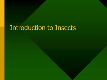 Introduction to Insects