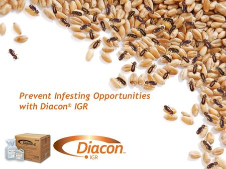 Prevent Infesting Opportunities with Diacon ® IGR.