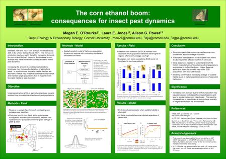  Regions in upstate New York with contrasting corn acreage were identified.  First-year, non-Bt corn fields within regions were surveyed for northern.