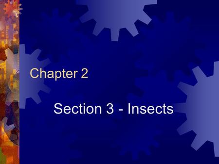 Chapter 2 Section 3 - Insects. Section 3: Insects  Largest group of animals on Earth  Live everywhere but the ocean  Harmful: termites, weevils, mosquitoes.