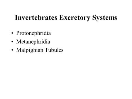 Invertebrates Excretory Systems