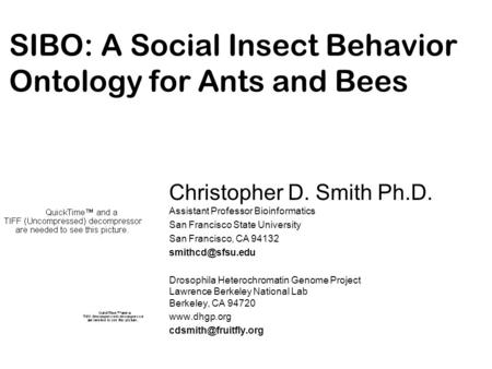 SIBO: A Social Insect Behavior Ontology for Ants and Bees Christopher D. Smith Ph.D. Assistant Professor Bioinformatics San Francisco State University.