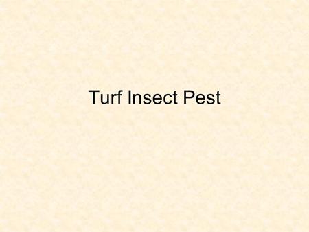 Turf Insect Pest. Introduction Turfgrass value: functional, aesthetic, and economic All values adversely affected by pest Over 300 million acres of turf.