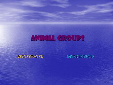 VERTEBRATES INVERTEBRATE