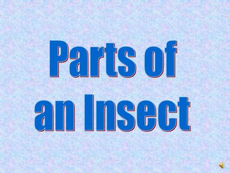 The head is the front of the three body parts of an adult insect. It bears the eyes (usually a pair of compound eyes), the antennae and the mouthparts.s.