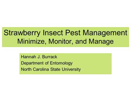 Strawberry Insect Pest Management Minimize, Monitor, and Manage Hannah J. Burrack Department of Entomology North Carolina State University.