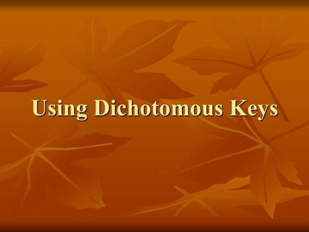 Using Dichotomous Keys. Keeping track of species Taxonomy: describing and naming an organism >1 million species named, up to 15 million more Taxonomy.