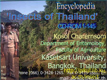 Kosol Charernsom Department of Entomology, Faculty of Agriculture Kasetsart University, Bangkok, Thailand Phone (066) 0-3428-1265. Fax 0-3435-1881. E-