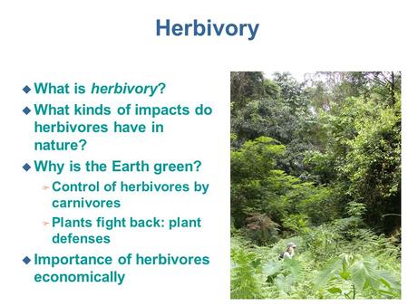 Herbivory u What is herbivory? u What kinds of impacts do herbivores have in nature? u Why is the Earth green? F Control of herbivores by carnivores F.