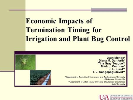 Economic Impacts of Termination Timing for Irrigation and Plant Bug Control Juan Monge* Diana M. Danforth* Tina Gray Teague** Mark J. Cochran* J. L. Lund**