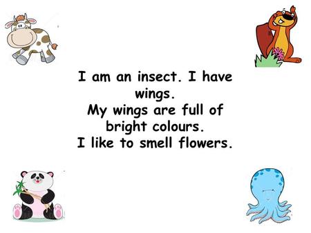 I am an insect. I have wings. My wings are full of bright colours