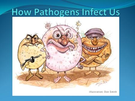 Immune System Summary There are three lines of defense a pathogen must defeat in order to create a problem/illness/disease in our bodies. 1) Skin and.