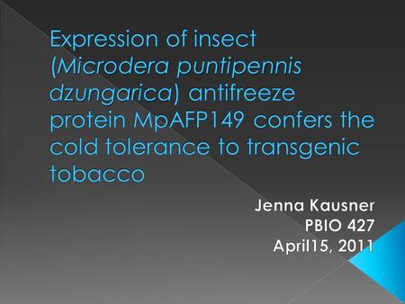  Antifree proteins (AFPs) have been isolated from several organisms. › Fish, insects, plants, bacteria  Bind to ice crystals, inhibit growth, lower.