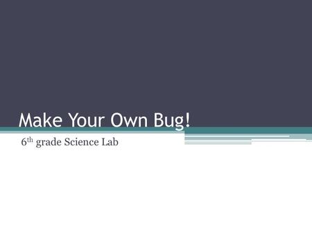 Make Your Own Bug! 6 th grade Science Lab. Pre-Lab Background Information Insects have a hard outer shell (or skeleton) we call an exoskeleton. Their.