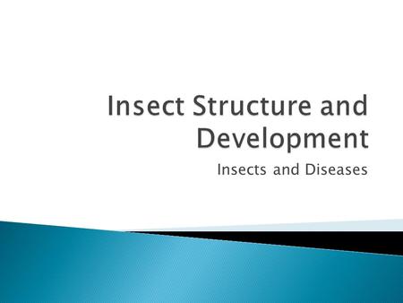 Insects and Diseases.  Insects & relatives have a lightweight, but strong exoskeleton – chitin, like fingernails ◦ Allows burrowing, tunneling ◦ Protection.