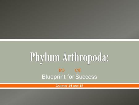  Blueprint for Success Chapter 14 and 15.  Modified segmentation – body regions specialized for specific functions (tagmatization).  Chitinous exoskeleton.