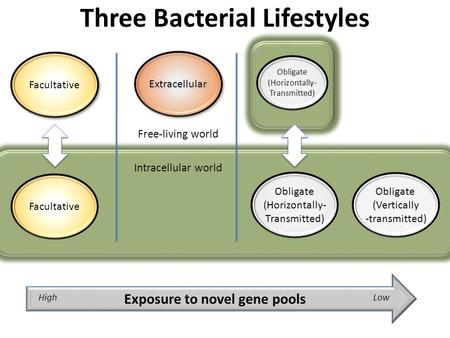 Facultative Intracellular world Facultative Extracellular Free-living world Obligate (Vertically -transmitted) Obligate (Horizontally- Transmitted) Exposure.