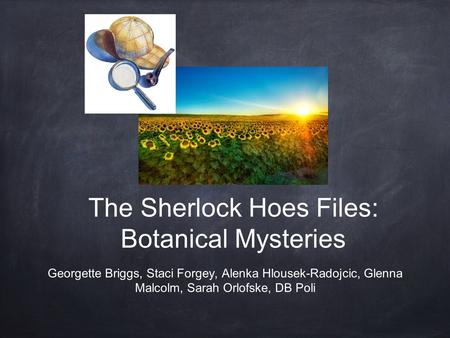 The Sherlock Hoes Files: Botanical Mysteries Georgette Briggs, Staci Forgey, Alenka Hlousek-Radojcic, Glenna Malcolm, Sarah Orlofske, DB Poli.