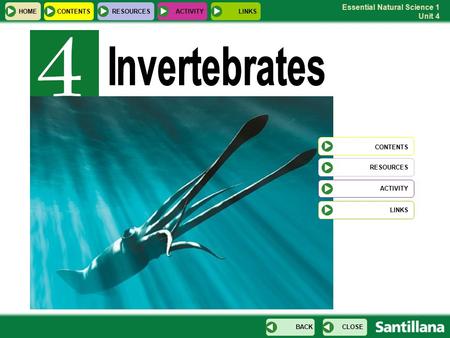 Invertebrates CONTENTS HOME CONTENTS RESOURCES ACTIVITY LINKS