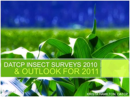 DATCP INSECT SURVEYS 2010 & OUTLOOK FOR 2011 KRISTA HAMILTON, DATCP.