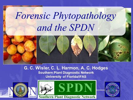 G. C. Wisler, C. L. Harmon, A. C. Hodges Southern Plant Diagnostic Network University of Florida/IFAS Forensic Phytopathology and the SPDN.