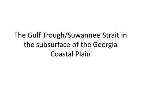 The Gulf Trough/Suwannee Strait in the subsurface of the Georgia Coastal Plain.