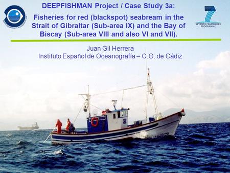 Juan Gil Herrera Instituto Español de Oceanografía – C.O. de Cádiz DEEPFISHMAN Project / Case Study 3a: Fisheries for red (blackspot) seabream in the Strait.