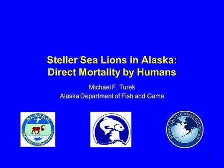 1 Steller Sea Lions in Alaska: Direct Mortality by Humans Michael F. Turek Alaska Department of Fish and Game.