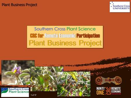 Plant Business Project 1 of 17 Southern Cross Plant ScienceSouthern Cross Plant Science CRC for Remote Economic ParticipationCRC for Remote Economic Participation.