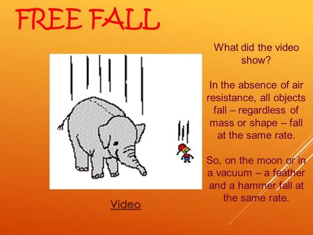 Free Fall What did the video show?