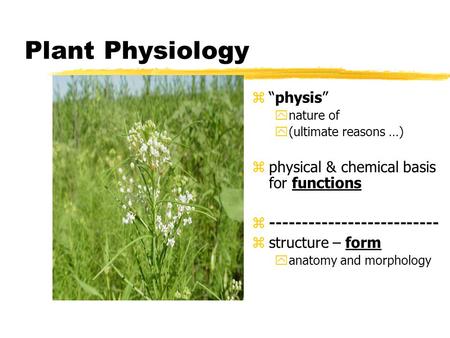 Plant Physiology z “physis” ynature of y(ultimate reasons …) z physical & chemical basis for functions z -------------------------- z structure – form.