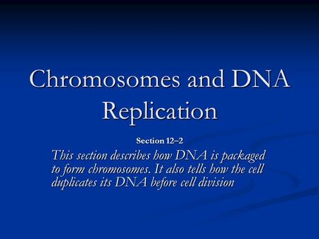 Chromosomes and DNA Replication