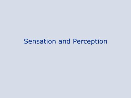 Sensation and Perception