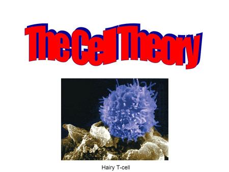 Hairy T-cell. Definition = Three part theory about cells 1. All living things are made of cells.