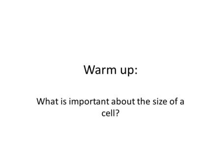 Warm up: What is important about the size of a cell?