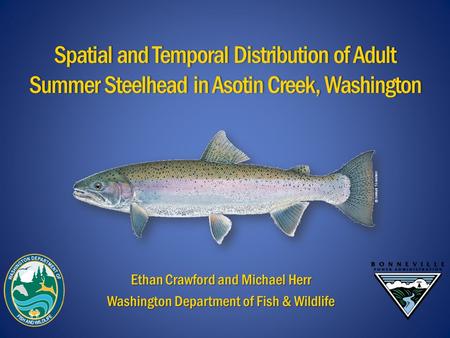 Spatial and Temporal Distribution of Adult Summer Steelhead in Asotin Creek, Washington Ethan Crawford and Michael Herr Washington Department of Fish &