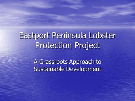 Eastport Peninsula Lobster Protection Project A Grassroots Approach to Sustainable Development.