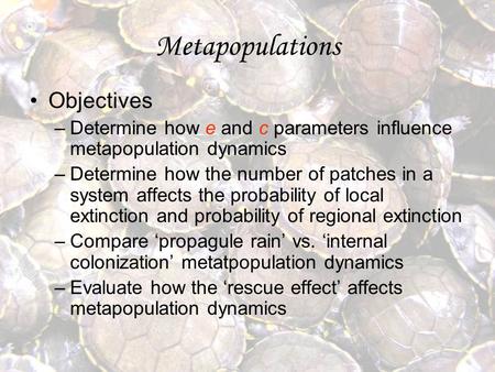 Metapopulations Objectives –Determine how e and c parameters influence metapopulation dynamics –Determine how the number of patches in a system affects.