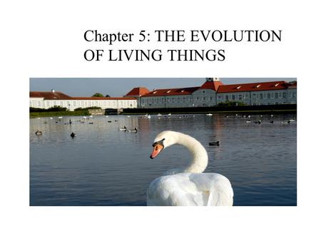 Chapter 5: THE EVOLUTION OF LIVING THINGS