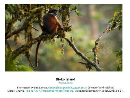 Bioko Island By Alice JonesAlice Jones Photograph by Tim Laman National Geographic August 2008 (Pennant’s red colobus)National Geographic August 2008 Morell,